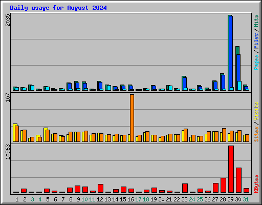 Daily usage for August 2024