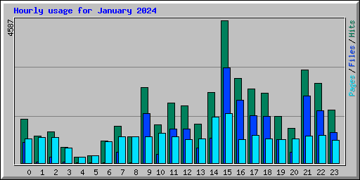Hourly usage for January 2024
