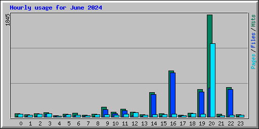 Hourly usage for June 2024