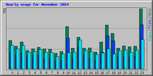 Hourly usage for November 2024