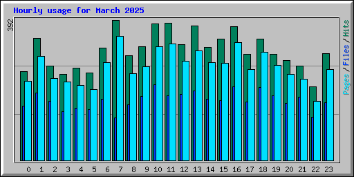 Hourly usage for March 2025