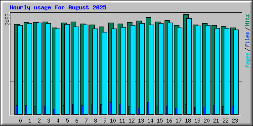 Hourly usage for August 2025