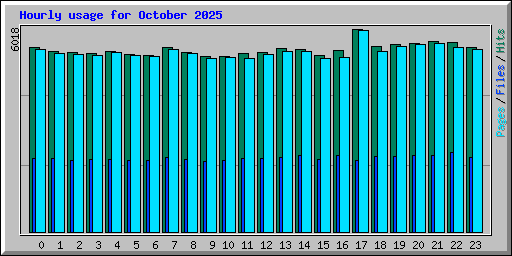 Hourly usage for October 2025