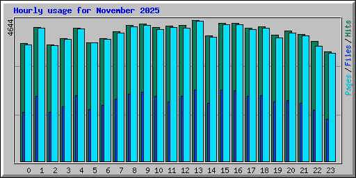 Hourly usage for November 2025