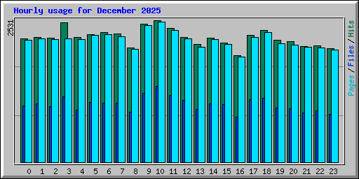 Hourly usage for December 2025