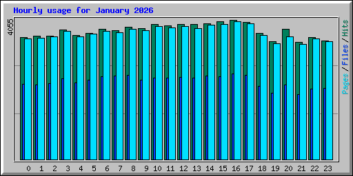 Hourly usage for January 2026